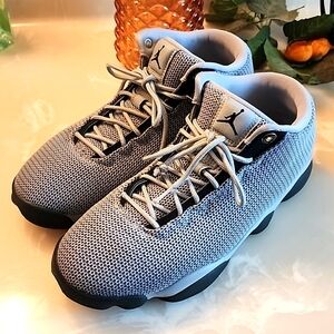 Jordan Horizon Low Wolf Grey